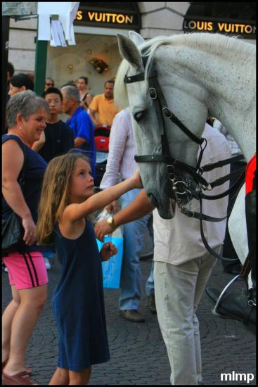 Dis cheval, pourquoi que t'as un grand nez?
